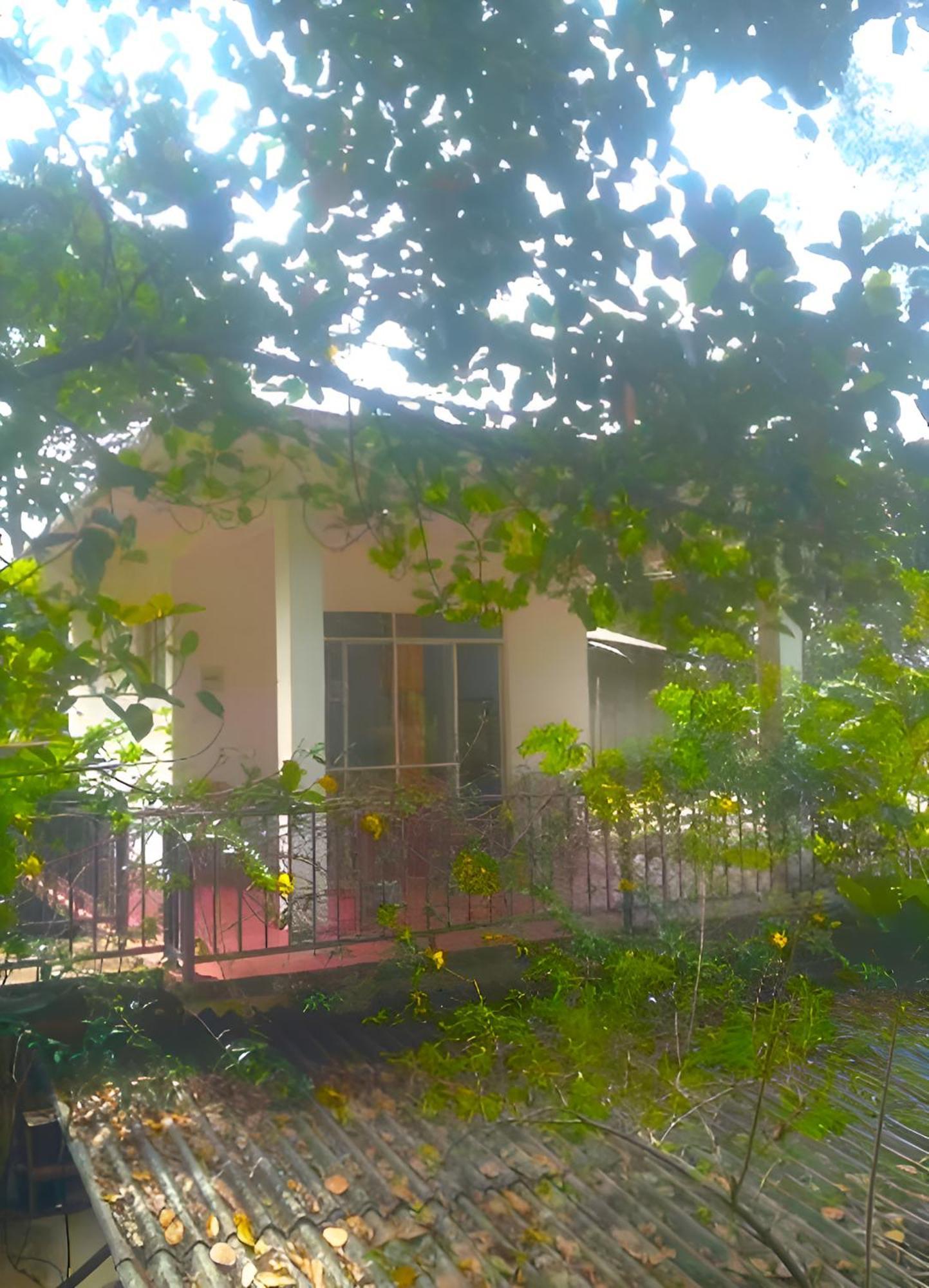 Senehas Homestay Ella Exterior foto